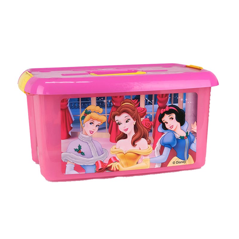 Caja de almacenamiento con asa Moldeo por inyección en etiqueta de molde