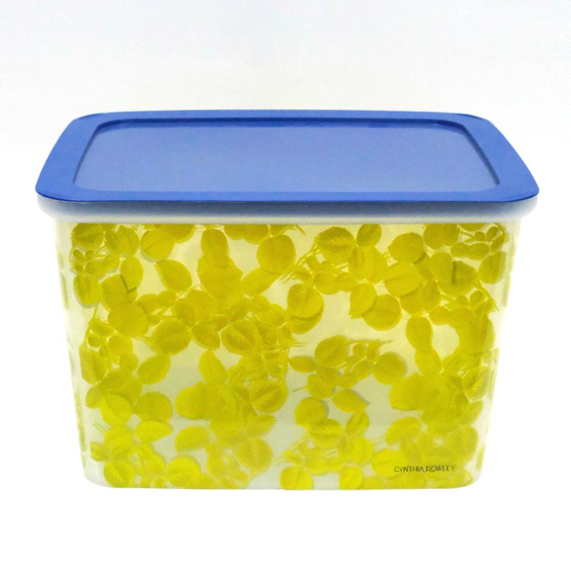 Caja de clasificación de moldeo por inyección en etiqueta de molde