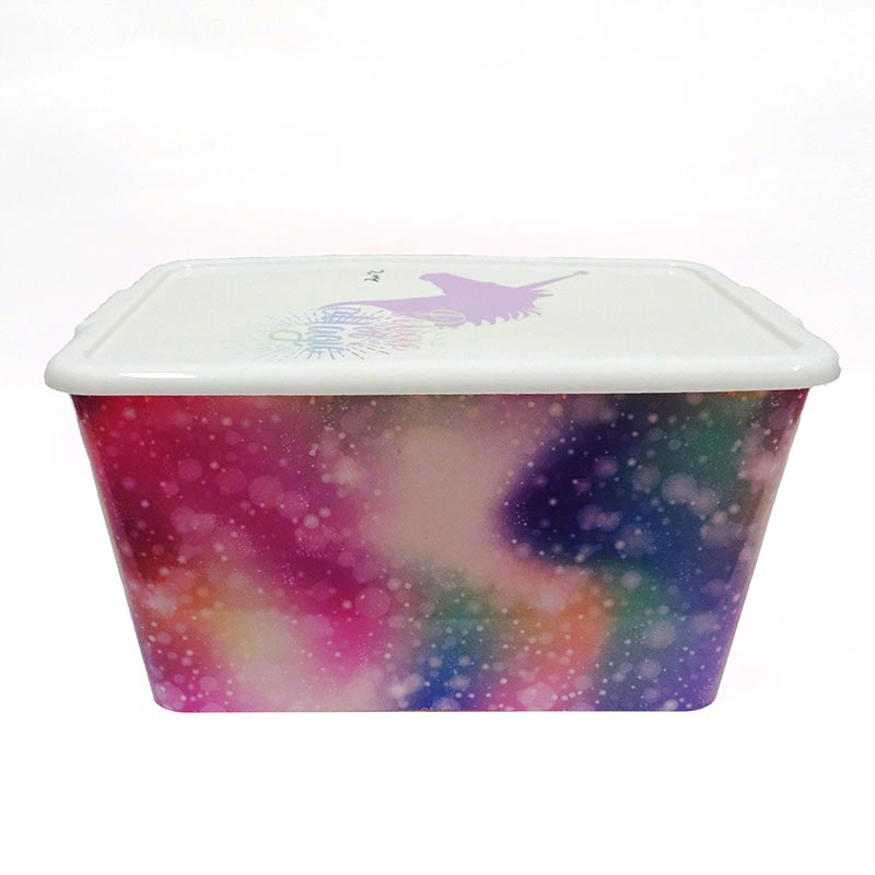 Moldeo por inyección de contenedor de almacenamiento en etiqueta de molde