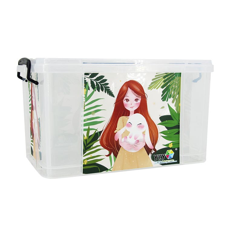 Moldeo por inyección de caja de asas en etiqueta de molde